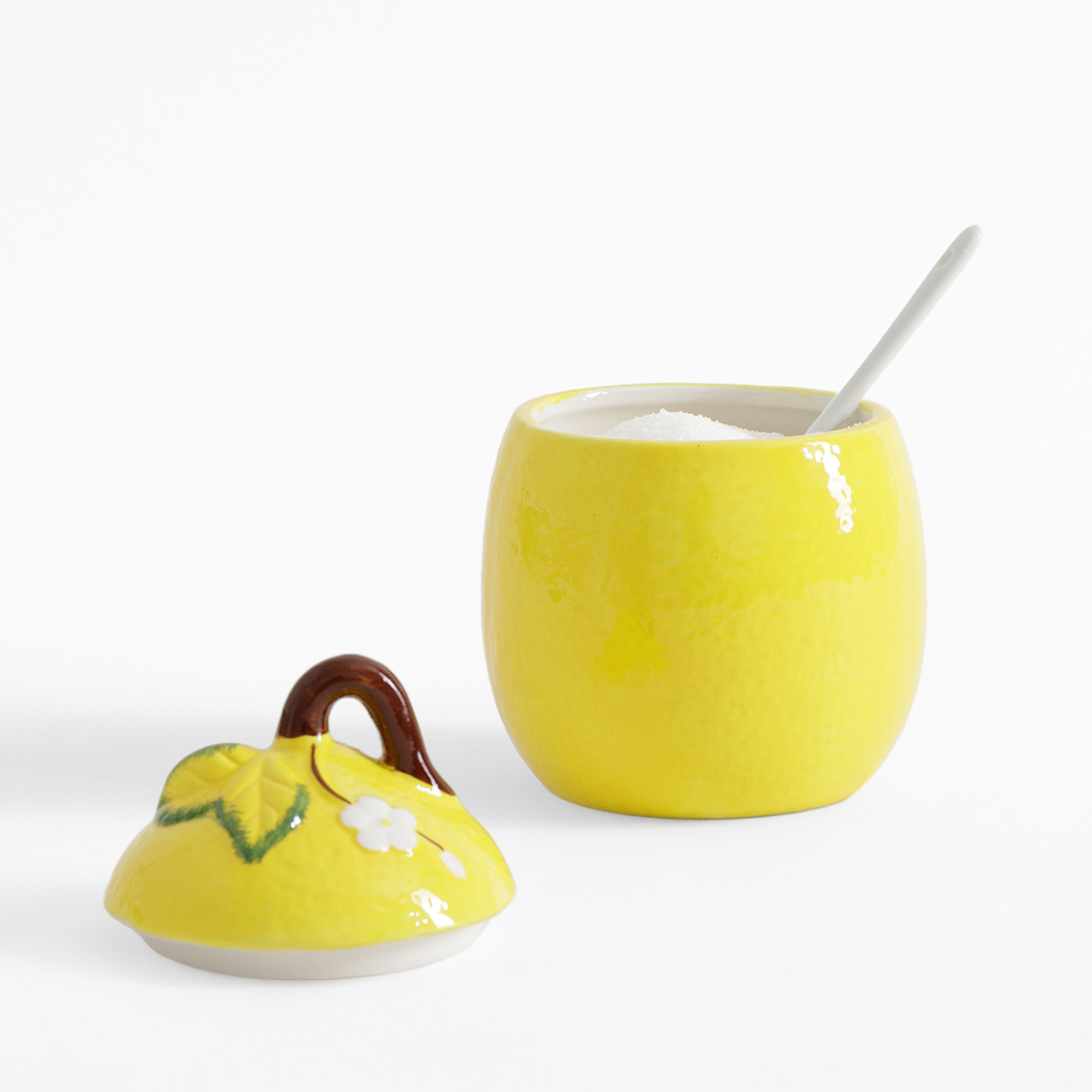 Nádoba s víkem CITRON 500 ml
