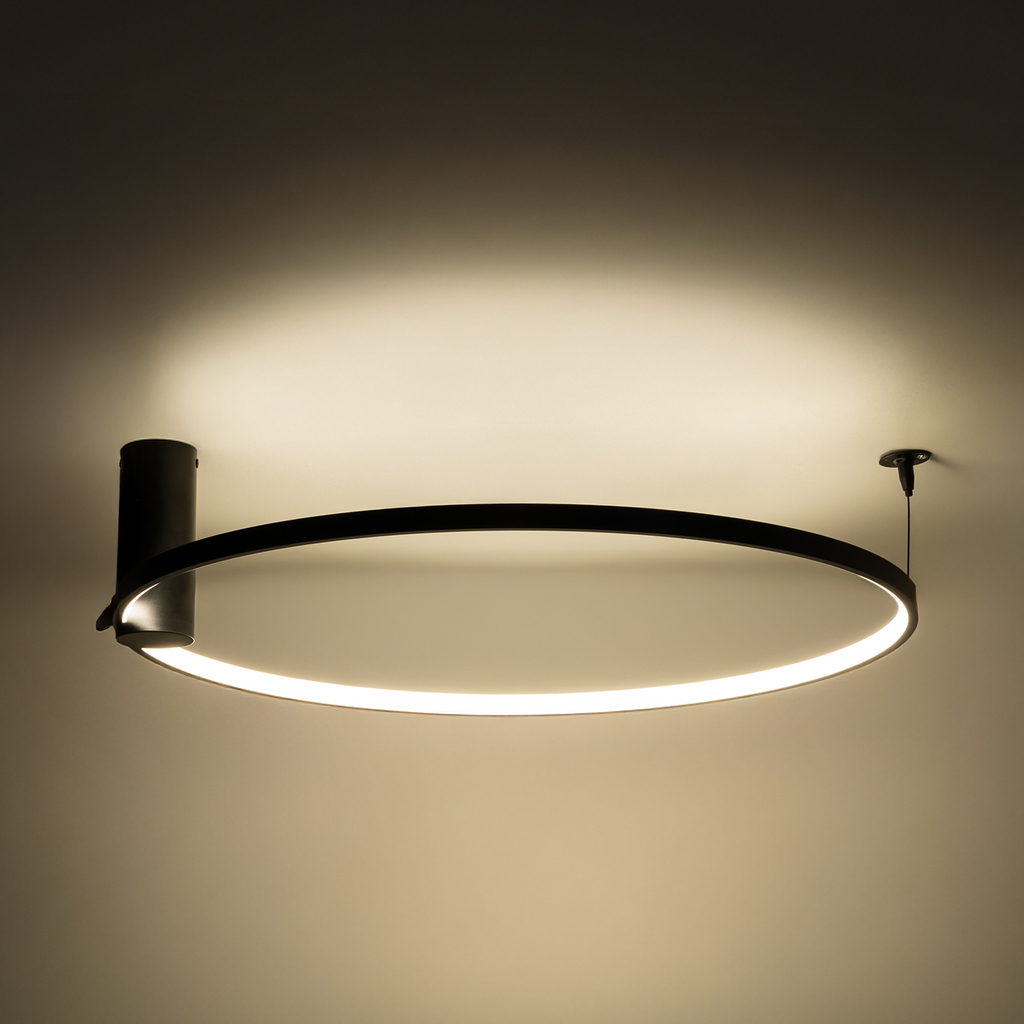 Kruhové stropní LED svítidlo HORIK 60 cm černé