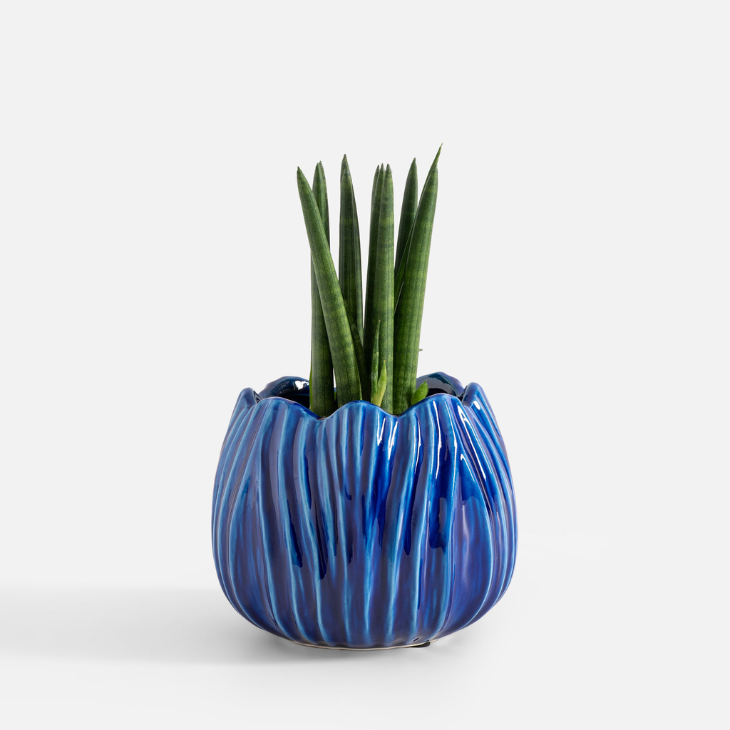 Modrý obal na květináč 17 cm