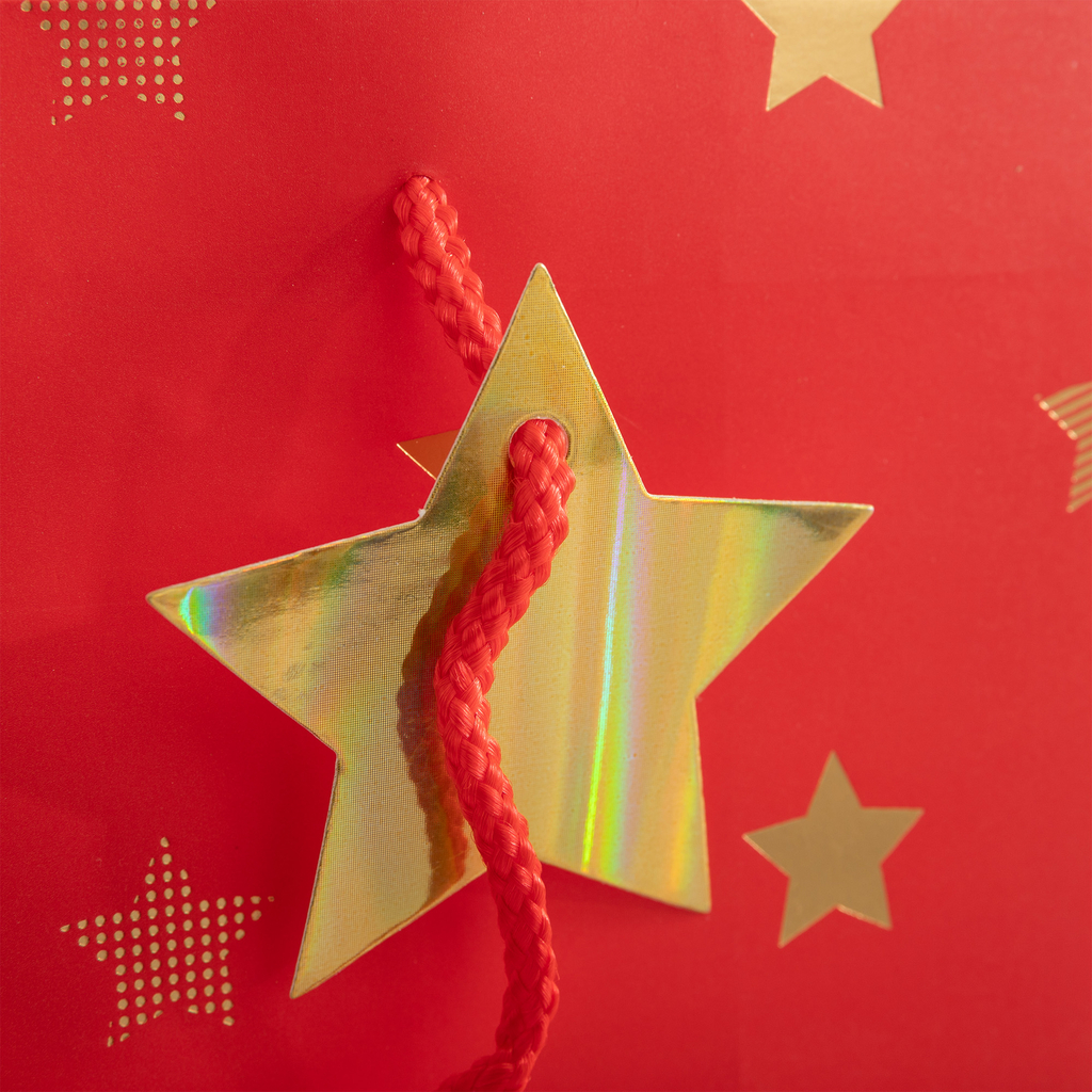 Dárková taška s hvězdičkami 32 cm MIX