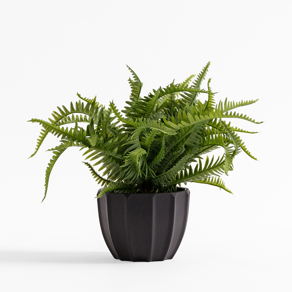 Umělá kapradina v černém květináči 19 cm
