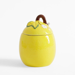 Nádoba s víkem CITRON 500 ml