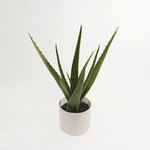 Umělá květina v květináči ALOE 30 cm