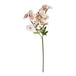 Umělá krémová orchidej 61 cm