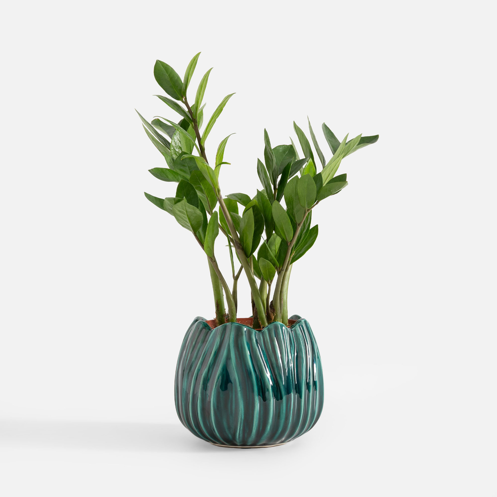 Zelený obal na květináč 17 cm