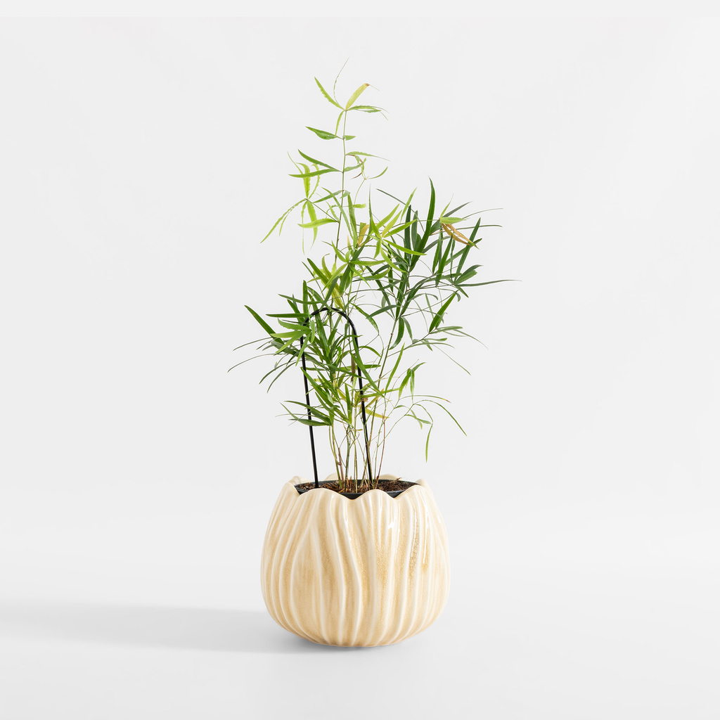 Obal na květináč 17 cm béžový