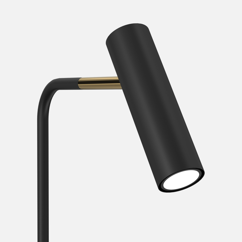 Černo-zlatá stojací lampa bodovka AXION