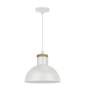 Závěsné svítidlo JOSE P15079-D22
