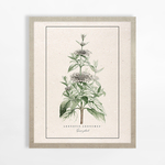 Obraz do ložnice BOTANIC PLANT I 40x50 cm