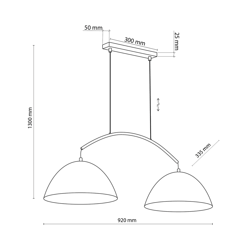 Černé matné industriální závěsné svítidlo s 2 stínidly FARO