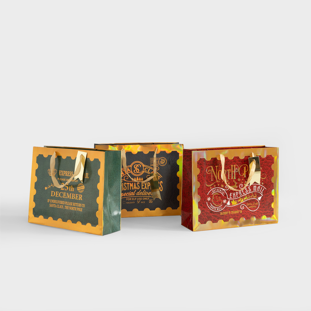 Dárková taška CHRISTMAS EXPRES 26 cm MIX