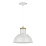 Závěsné svítidlo JOSE P15079-D22