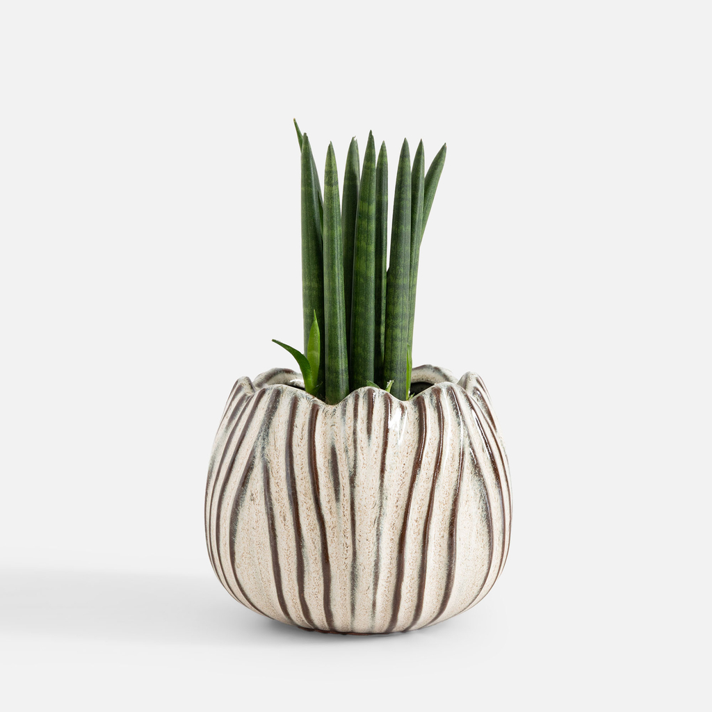 Bílý obal na květináč 17 cm