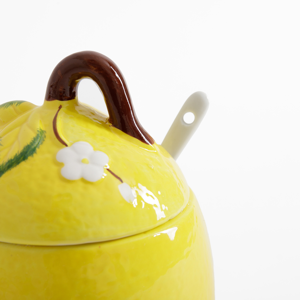 Nádoba s víkem CITRON 500 ml