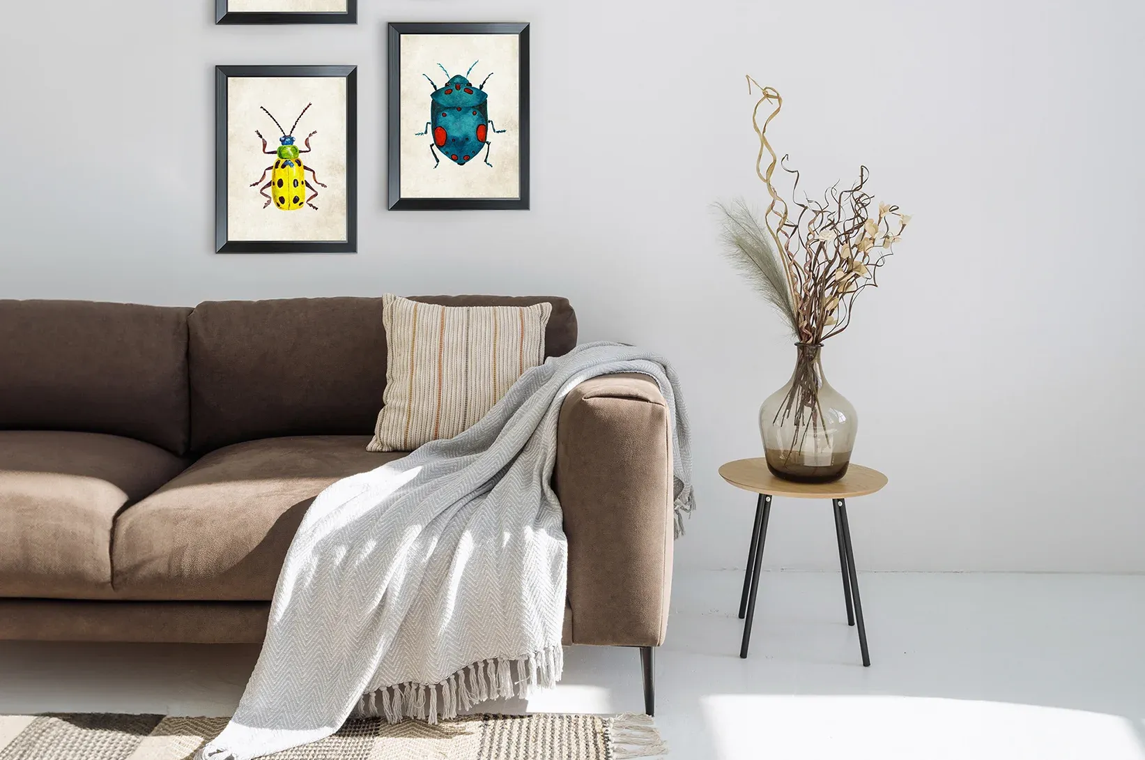 Salon s obrazy s motivy hmyzu.