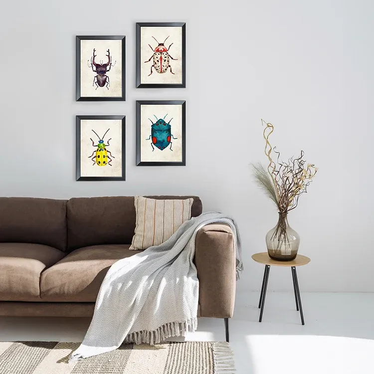 Salon s obrazy s motivy hmyzu.