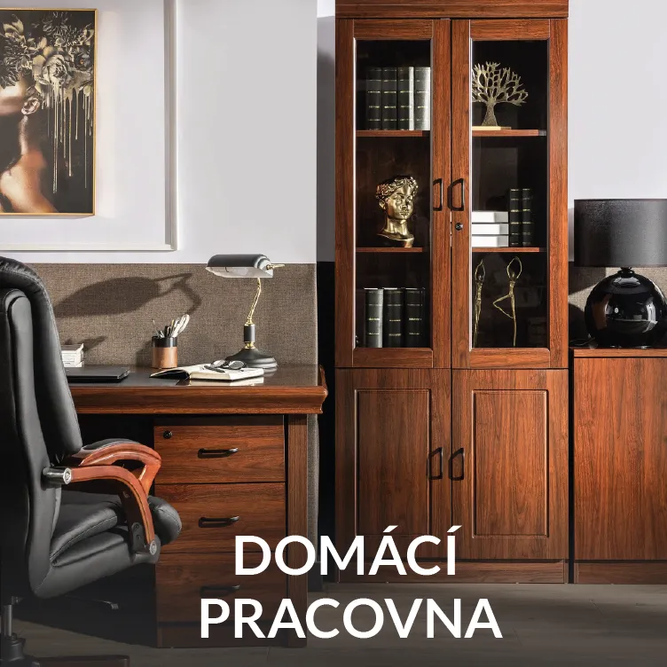 Domácí pracovna