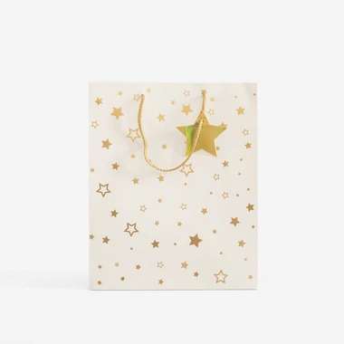 Dárková taška s hvězdičkami 32 cm MIX