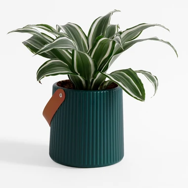 Zelený květináč s uchem 15 cm