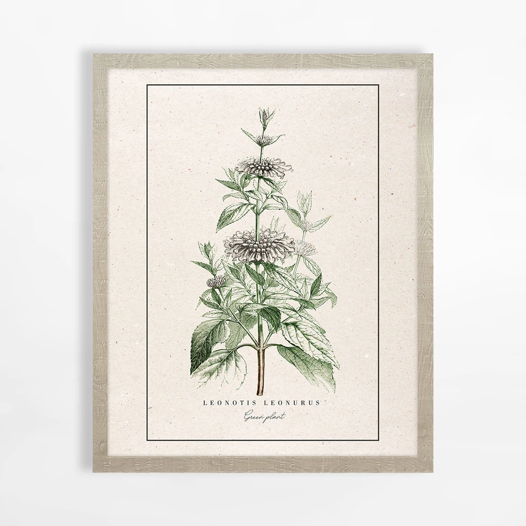 Obraz do ložnice BOTANIC PLANT I 40x50 cm