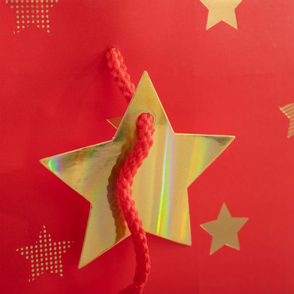 Dárková taška s hvězdičkami 32 cm MIX