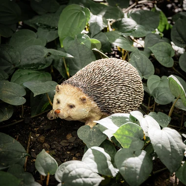 Dekorativní figurka, ježek, MIX