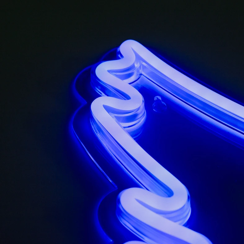 Světelná dekorace LED NEON WINGS