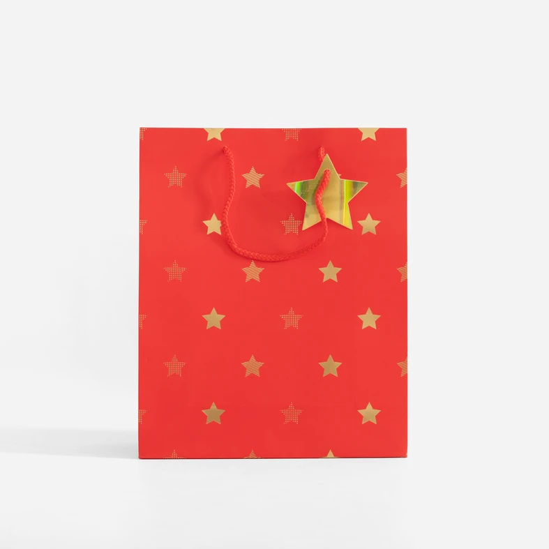 Dárková taška s hvězdičkami 32 cm MIX