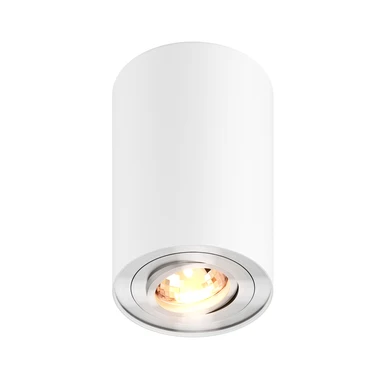Povrchové bodové svítidlo s regulací bílo-stříbrné RONDOO