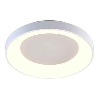 LED Stropní svítidlo bílé CAMERON 60 cm