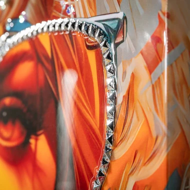 Obraz na plátně RETRO ŽENA II 60x80 cm