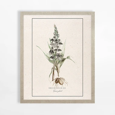Obraz s orchidejí BOTANIC 40x50 cm