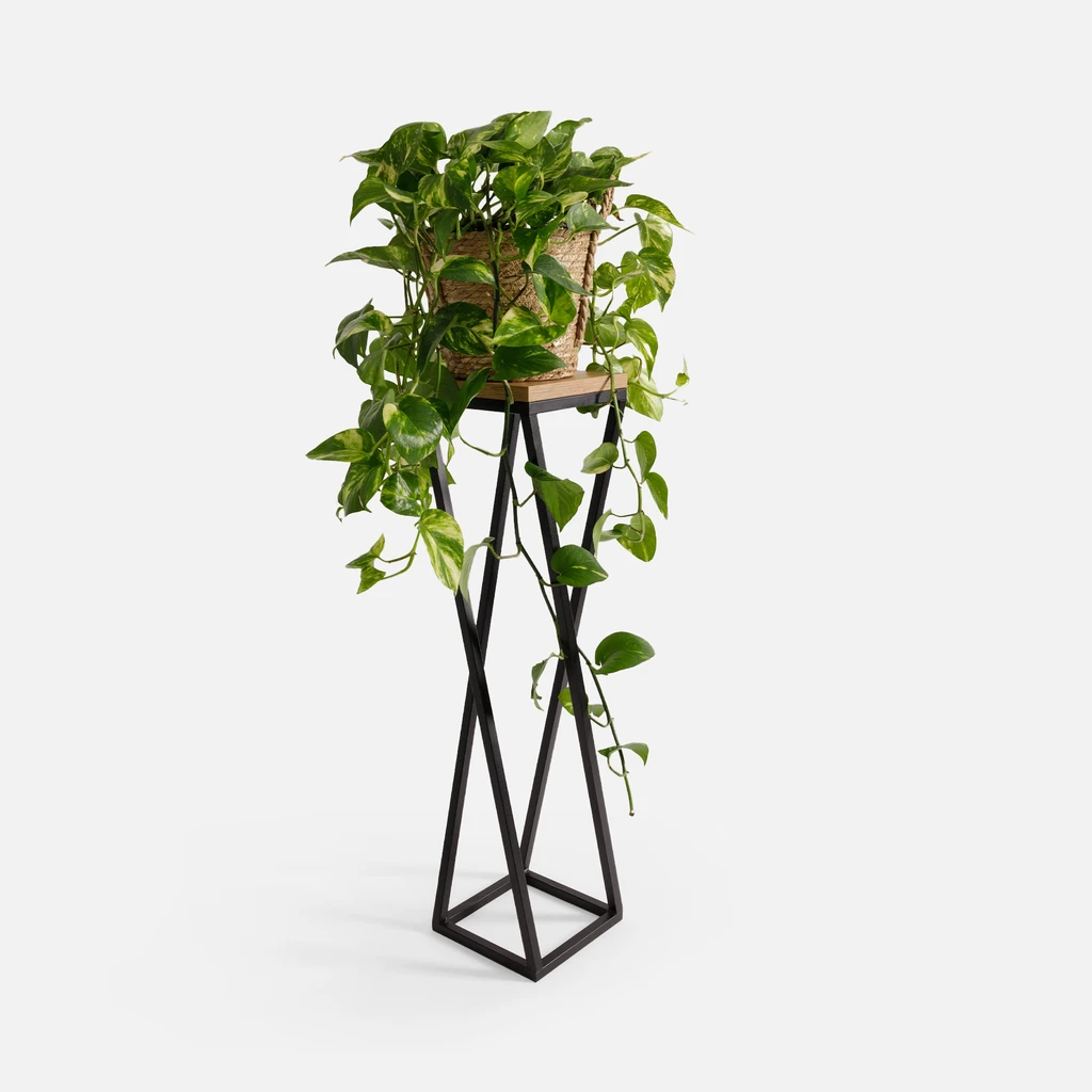 Ocelový stojan na květináč černý dub LESCAR S 62 cm