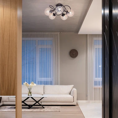 Stropní svítidlo koule FLORO 5 černá