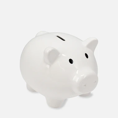 Prasátko pokladnička 18x15x13 cm MIX