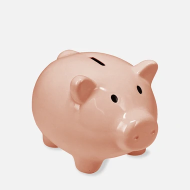 Prasátko pokladnička 18x15x13 cm MIX