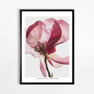 Obraz do obývacího pokoje RED FLOWER II 50x70 cm