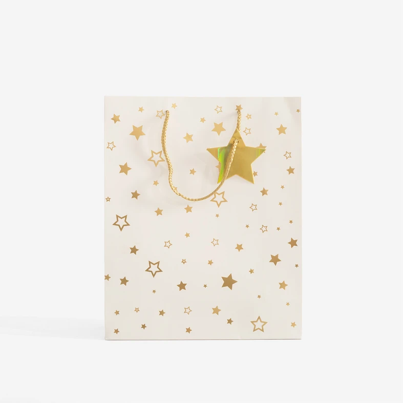 Dárková taška s hvězdičkami 32 cm MIX