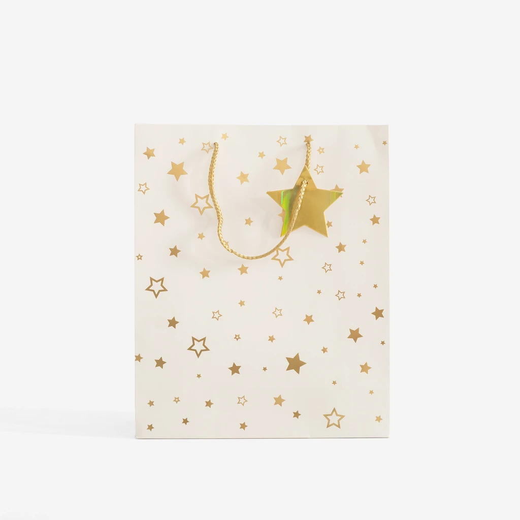 Dárková taška s hvězdičkami 32 cm MIX