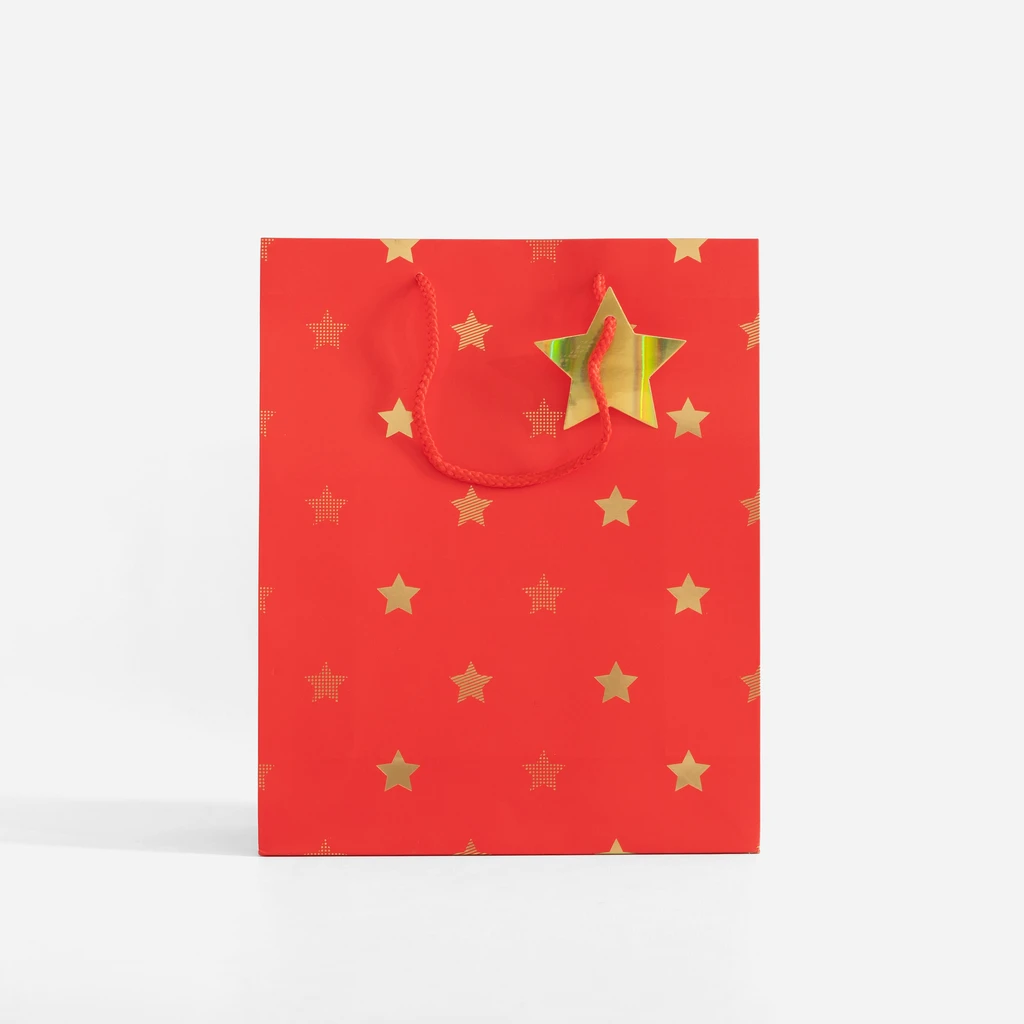 Dárková taška s hvězdičkami 32 cm MIX