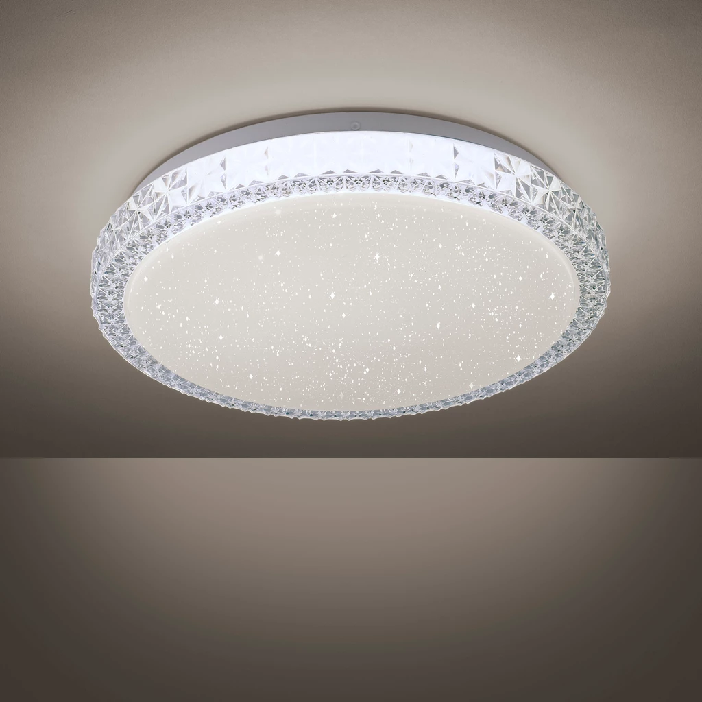 Stropní svítidlo FRIDA LED 14370-00
