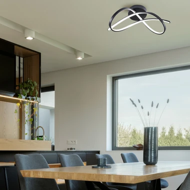 Černé LED stropní svítidlo ERDA