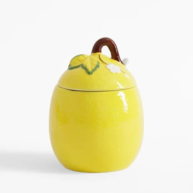 Nádoba s víkem CITRON 500 ml