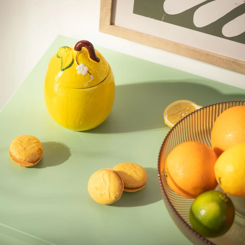 Nádoba s víkem CITRON 500 ml
