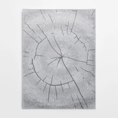 Šedý koberec se vzorem plátku dřeva MIRACLE 120x170 cm