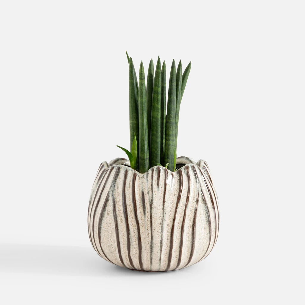 Bílý obal na květináč 17 cm