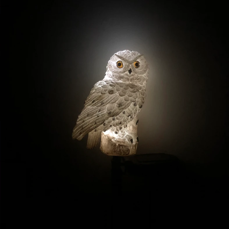 Solarna lampa LED z dekoracją w postaci świecącej, białej sowy.