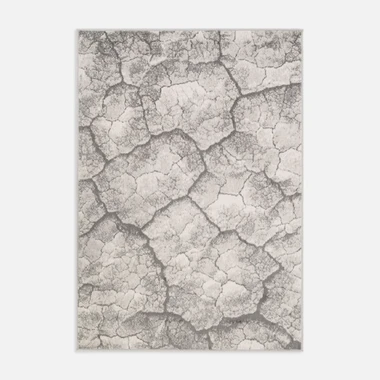 Šedý koberec kůra stromu MIRACLE 200X290 cm A1004