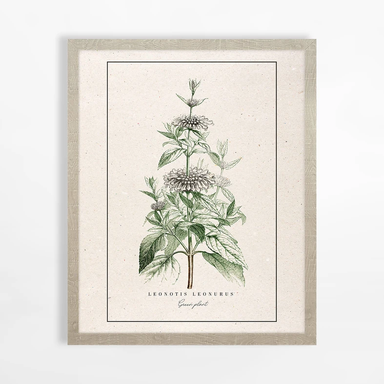 Obraz do ložnice BOTANIC PLANT I 40x50 cm